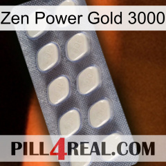 Zen Power Gold 3000 08